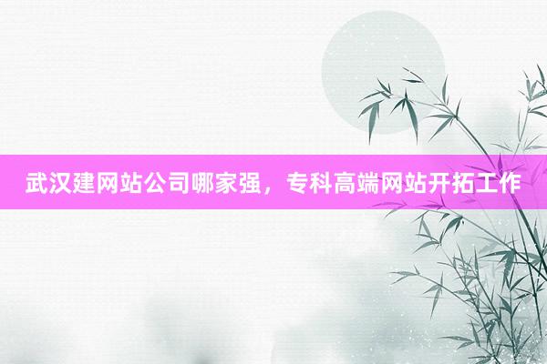武汉建网站公司哪家强，专科高端网站开拓工作