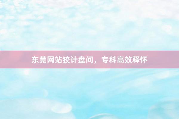 东莞网站狡计盘问，专科高效释怀