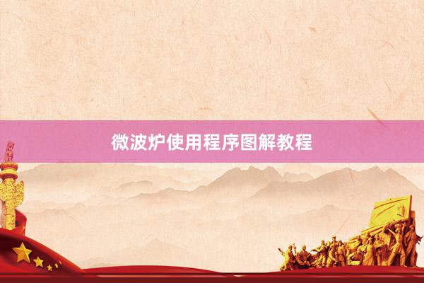 微波炉使用程序图解教程