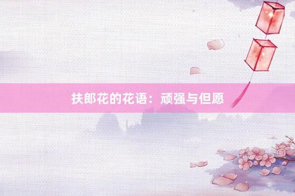 扶郎花的花语：顽强与但愿