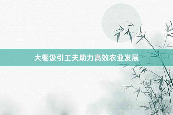 大棚汲引工夫助力高效农业发展